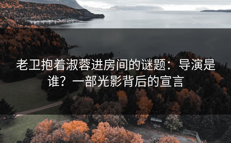 老卫抱着淑蓉进房间的谜题：导演是谁？一部光影背后的宣言