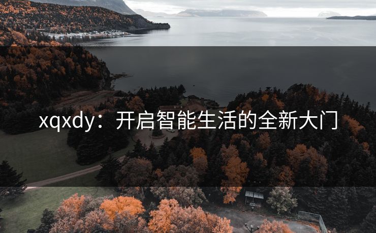xqxdy：开启智能生活的全新大门