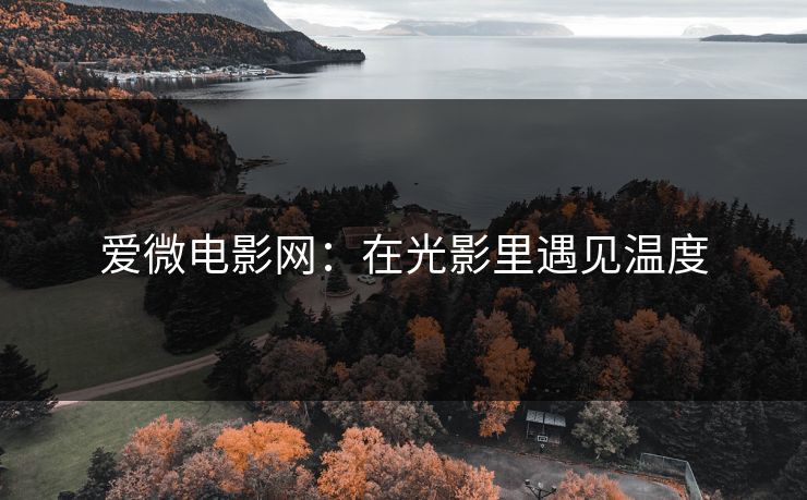 爱微电影网：在光影里遇见温度