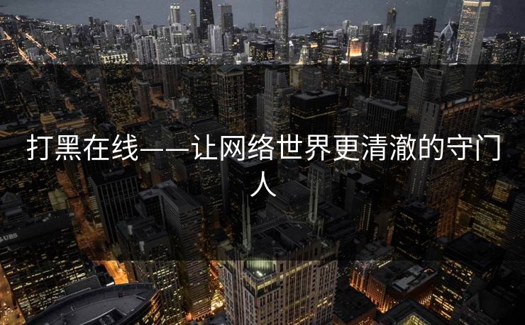 打黑在线——让网络世界更清澈的守门人