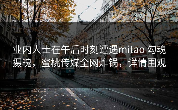 业内人士在午后时刻遭遇mitao 勾魂摄魄，蜜桃传媒全网炸锅，详情围观