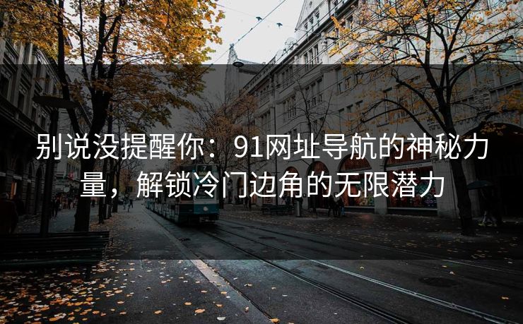 别说没提醒你：91网址导航的神秘力量，解锁冷门边角的无限潜力